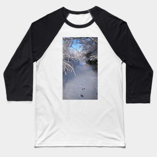 SOLITARY SNOW WINTER SCENE Baseball T-Shirt